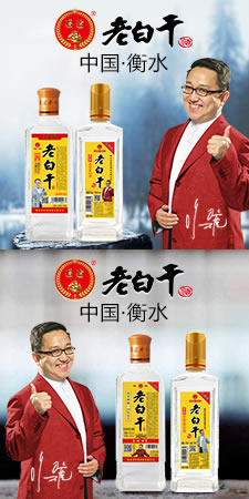 经典浓香 老白干酒